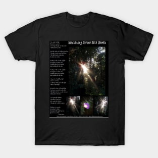 Awakening Divine Self Worth T-Shirt